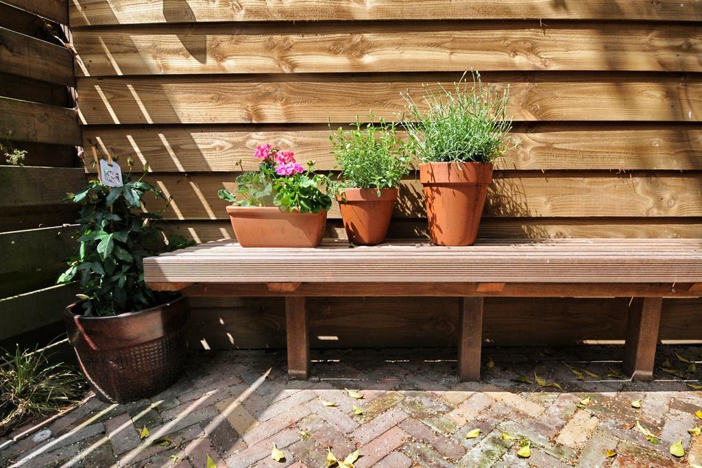 De Klinkende Munt Bed & Breakfast *